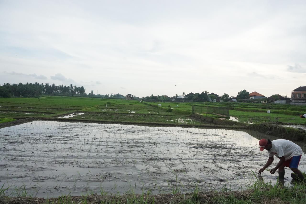 Pondok Uma Ubud Exterior photo